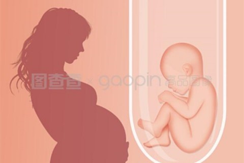 http://www.quanwangkm.com/post/193.html|杭州供卵助孕