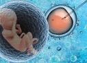 【人在iBaby】3人真实经历，10条忠告，爱宝贝自助必读攻略