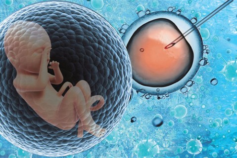 【人在iBaby】3人真实经历，10条忠告，爱宝贝自助必读攻略